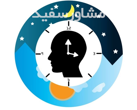  ساعت بیولوژیک بدن(Circadian Rhythm) 